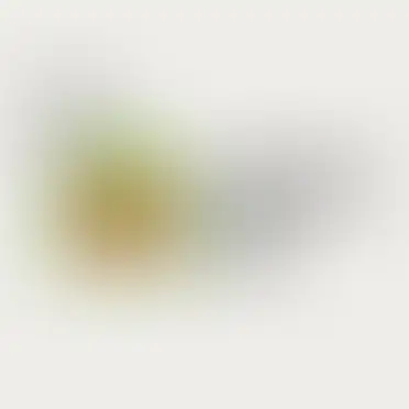 Елена Соболева