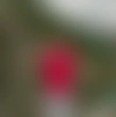 Мирослава Шерстнёва