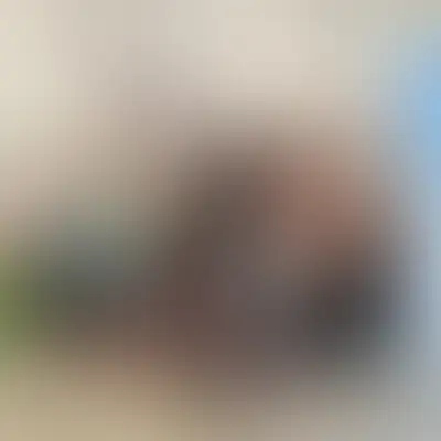 Бати Новой Риги – «Доброму дому»