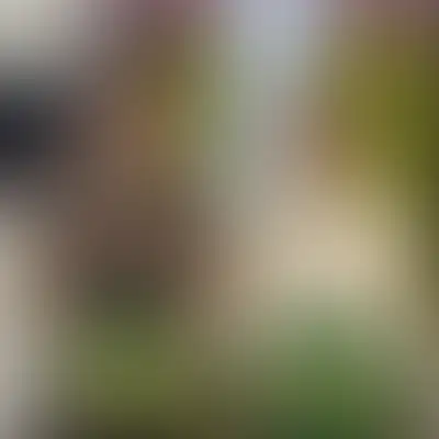 Вместе лепили, вместе угощались: день вареников