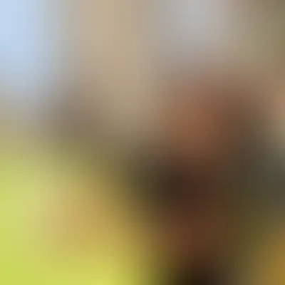 Как найти внутренний стимул к учёбе