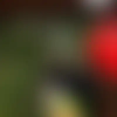 Раз в два месяца ждём мастеров – присоединяйтесь!