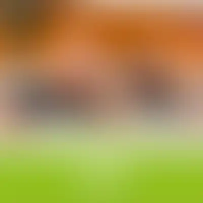 Итоги года: забота не на словах, а в делах