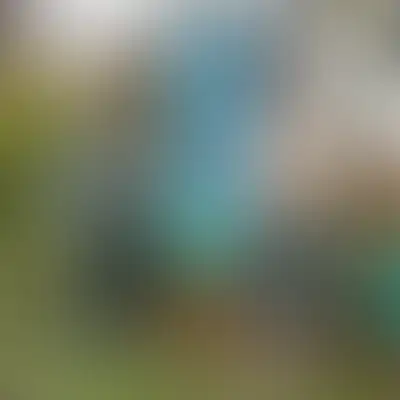 Круг волонтёров стал шире