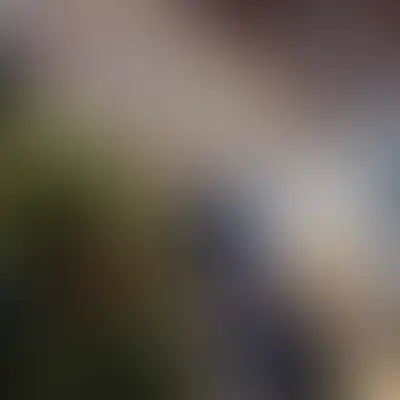 В ожидании Нового года: вместе создаём праздник