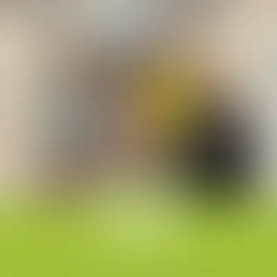 Итоги работы за сентябрь 2025