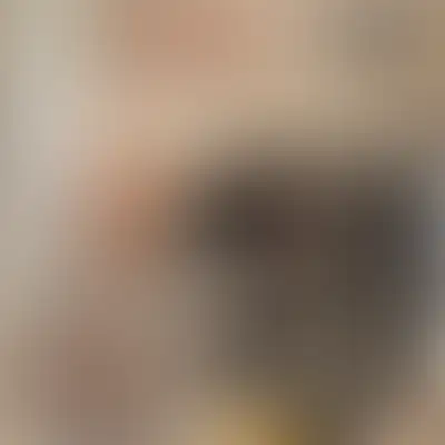 Как менялся «Добрый дом» в течение года