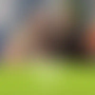 Итоги работы за ноябрь 2025