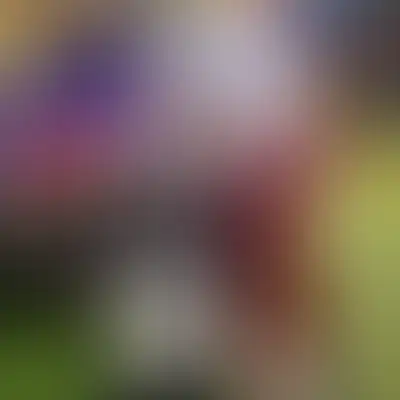 Час, который согрел сердца