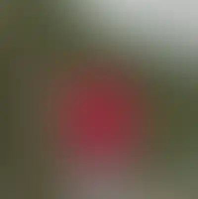 Мирослава Шерстнёва